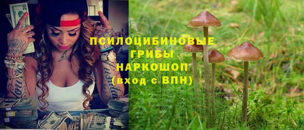 jwh Алзамай