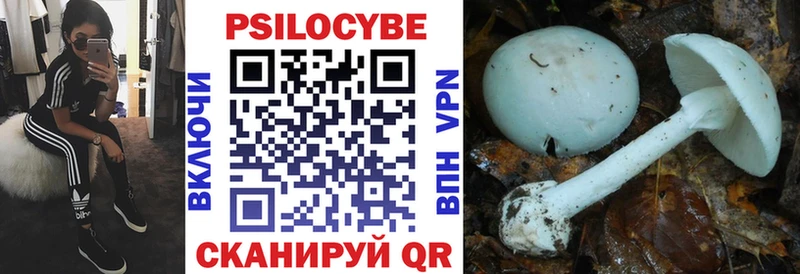 Псилоцибиновые грибы Cubensis  ОМГ ОМГ ССЫЛКА  Морозовск  даркнет сайт 