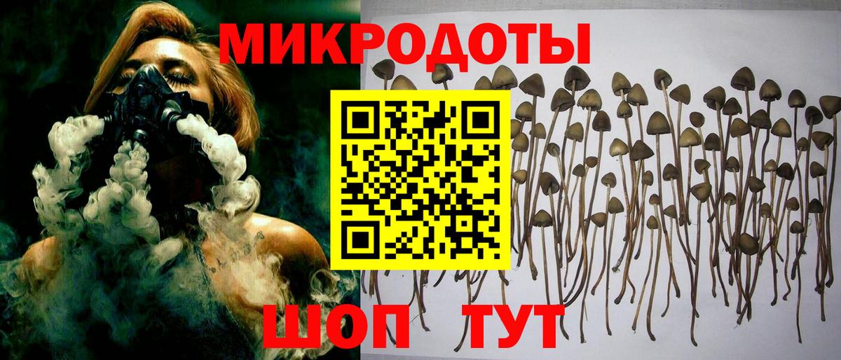 Морозовск  Галлюциногенные грибы MAGIC MUSHROOMS  Вход с VPN  Галлюциногенные грибы Cubensis 
